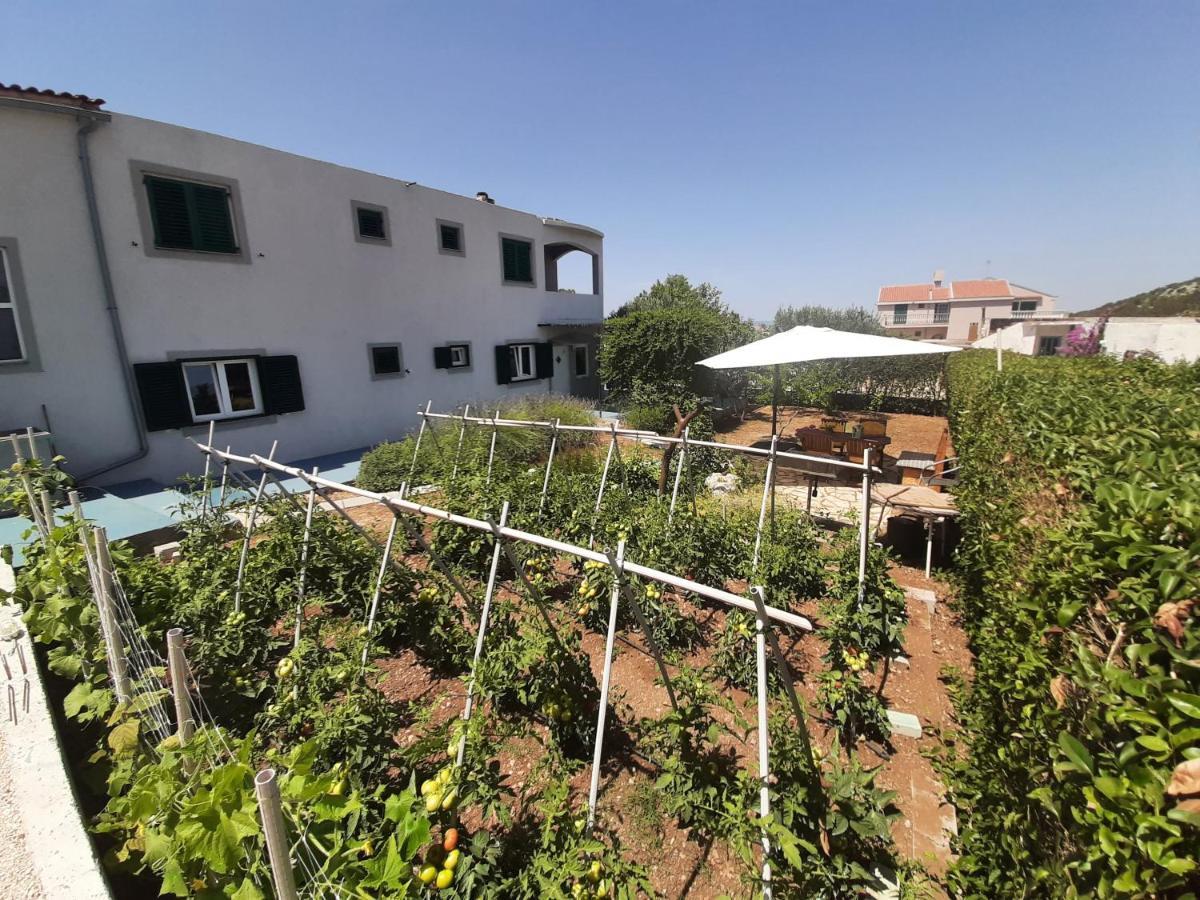 Apartments Borna Drage Zewnętrze zdjęcie
